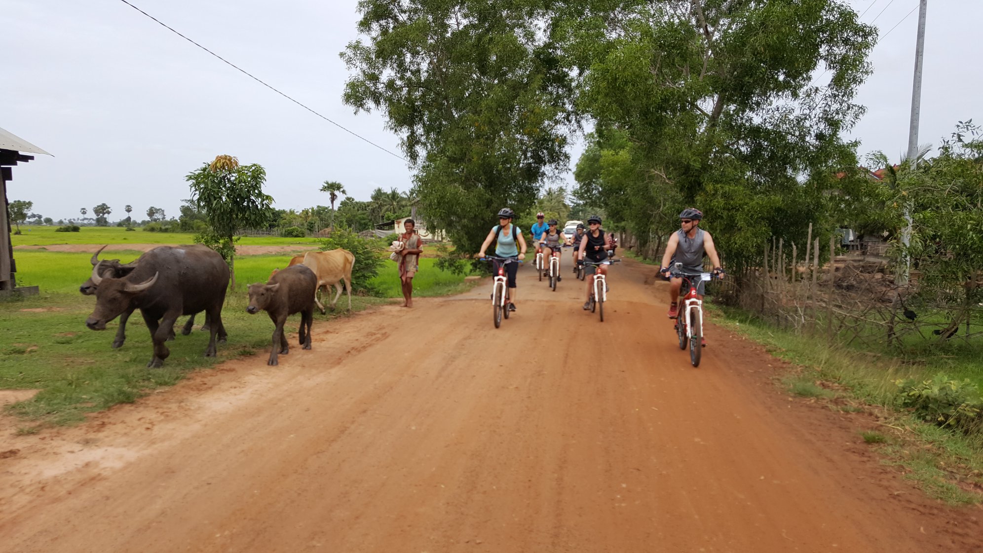 Cycling Journey Through Cambodia 12 Days